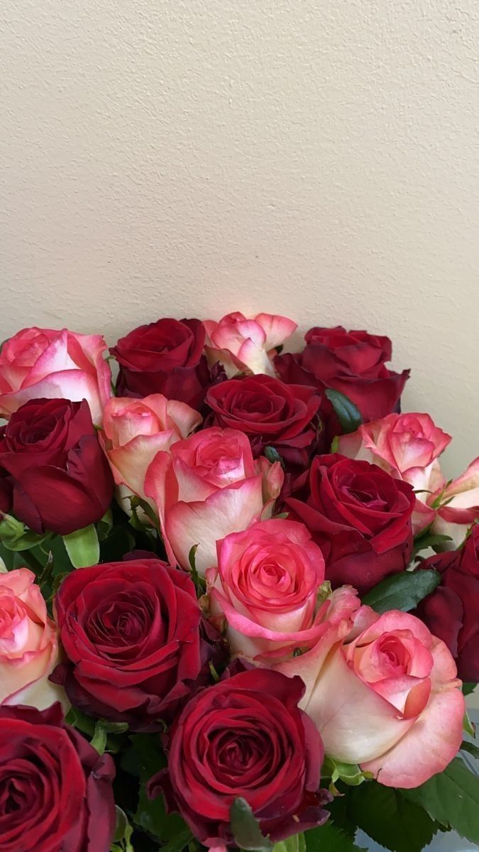 Flowers 2 2